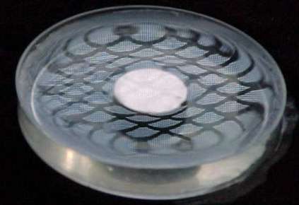 Water Surface Distortion from Magnet