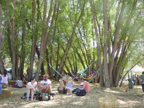 hammocks 