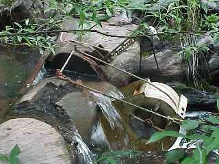 Water Wheel