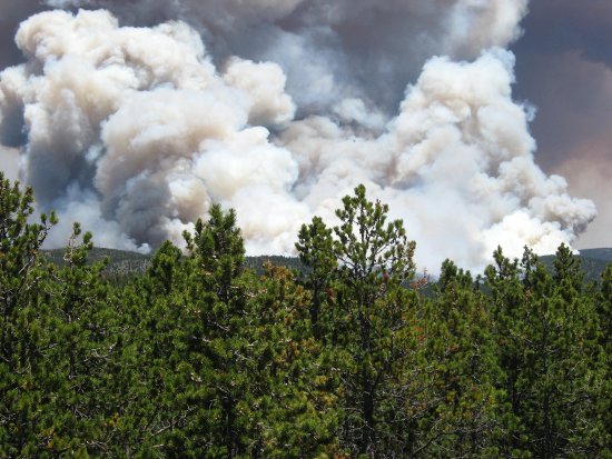 High Park Fire photo credit Ward Erickson