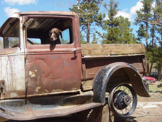 Wheel mounted 